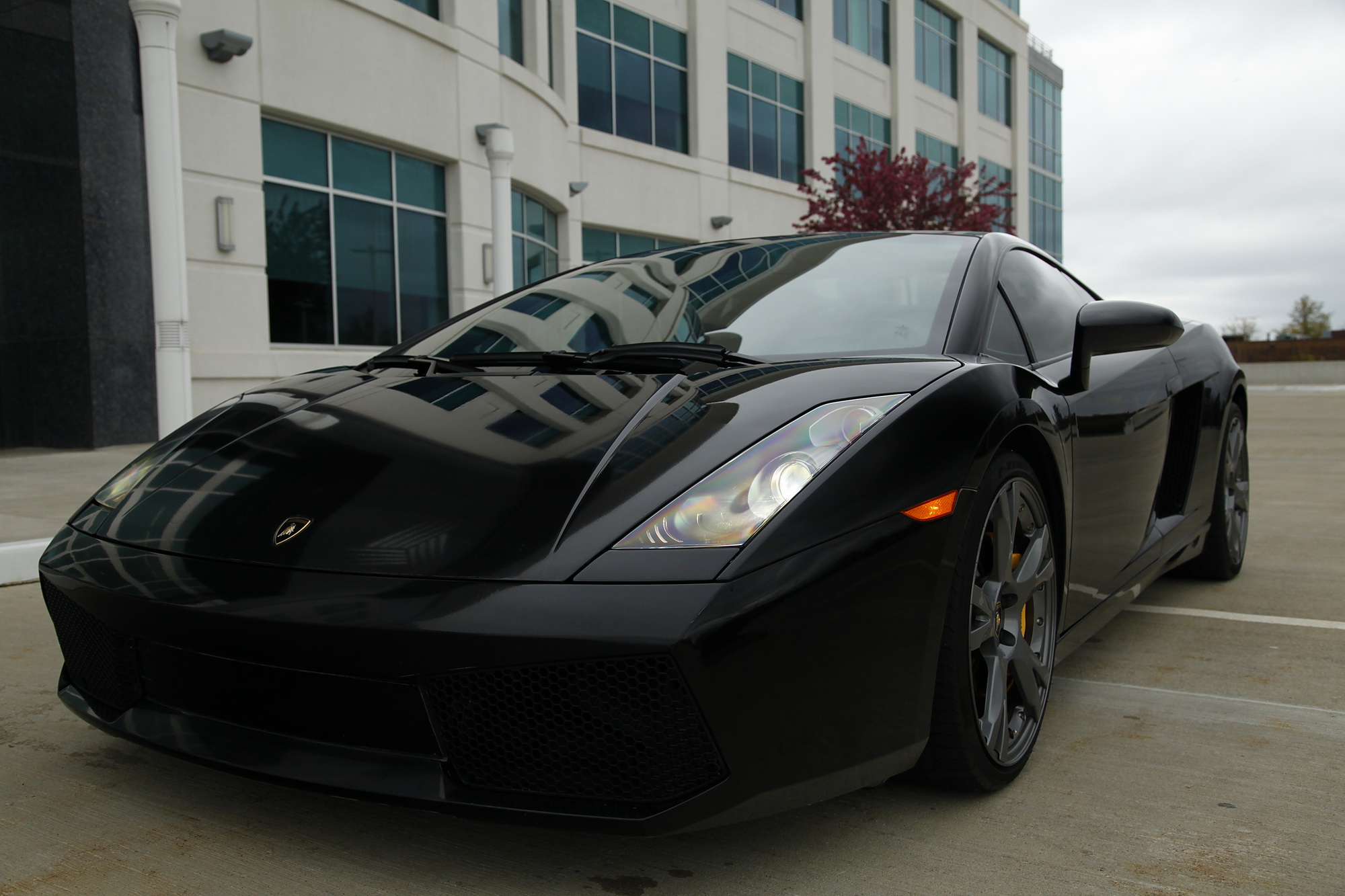 2006Gallardo