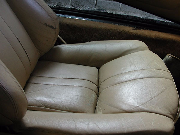 Jalpa