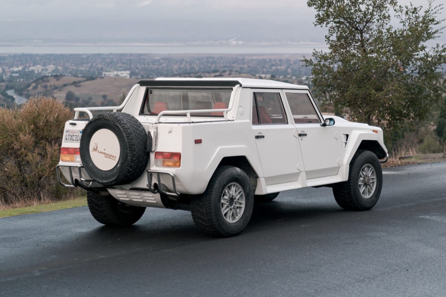 1991LM002