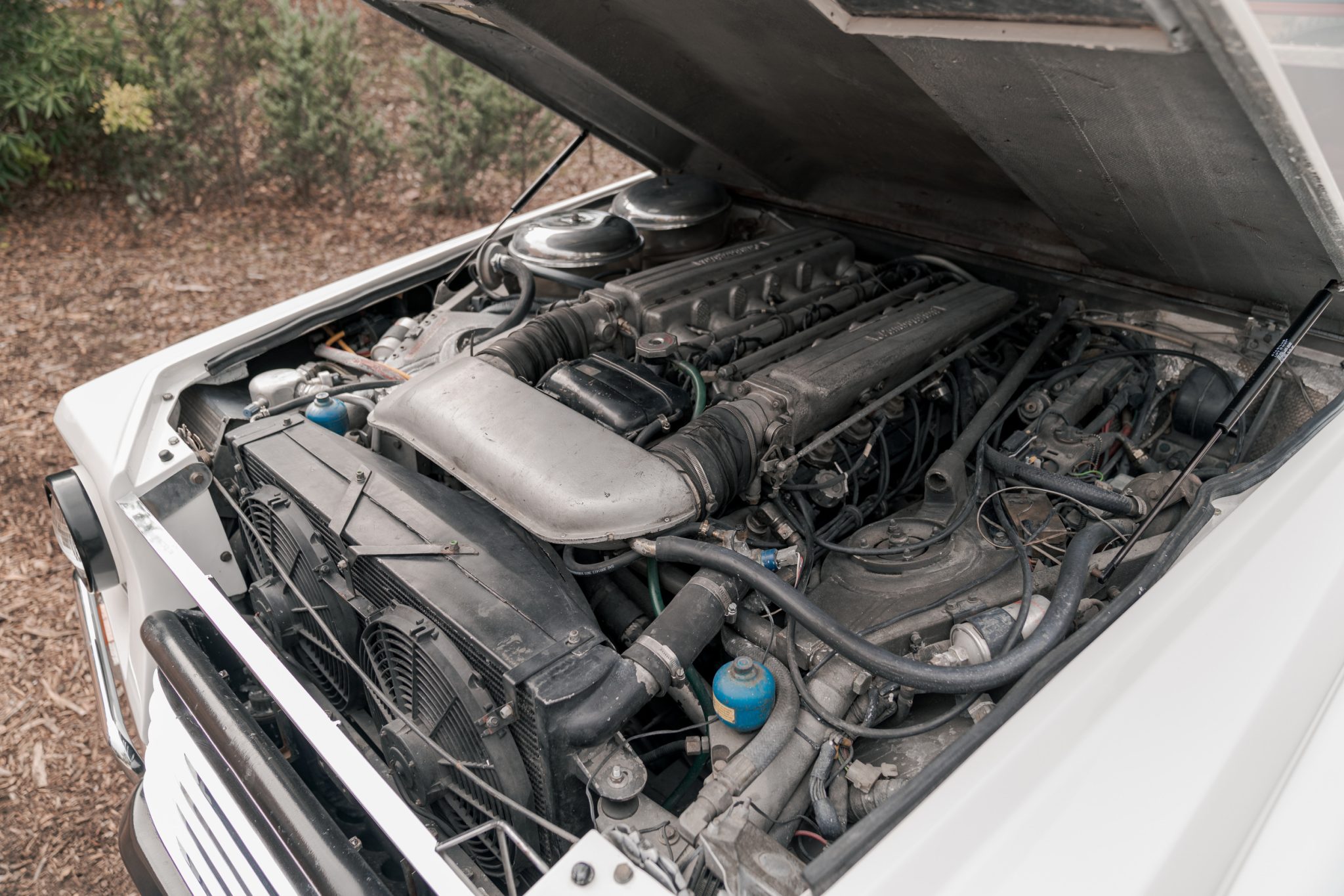 1991LM002