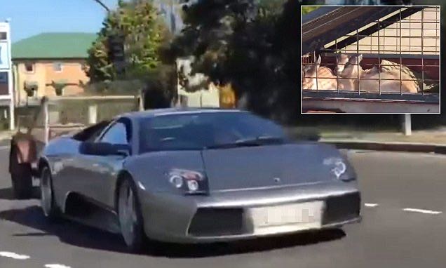 2003Murcielago