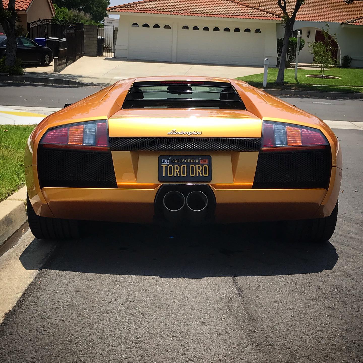 2006Murcielago