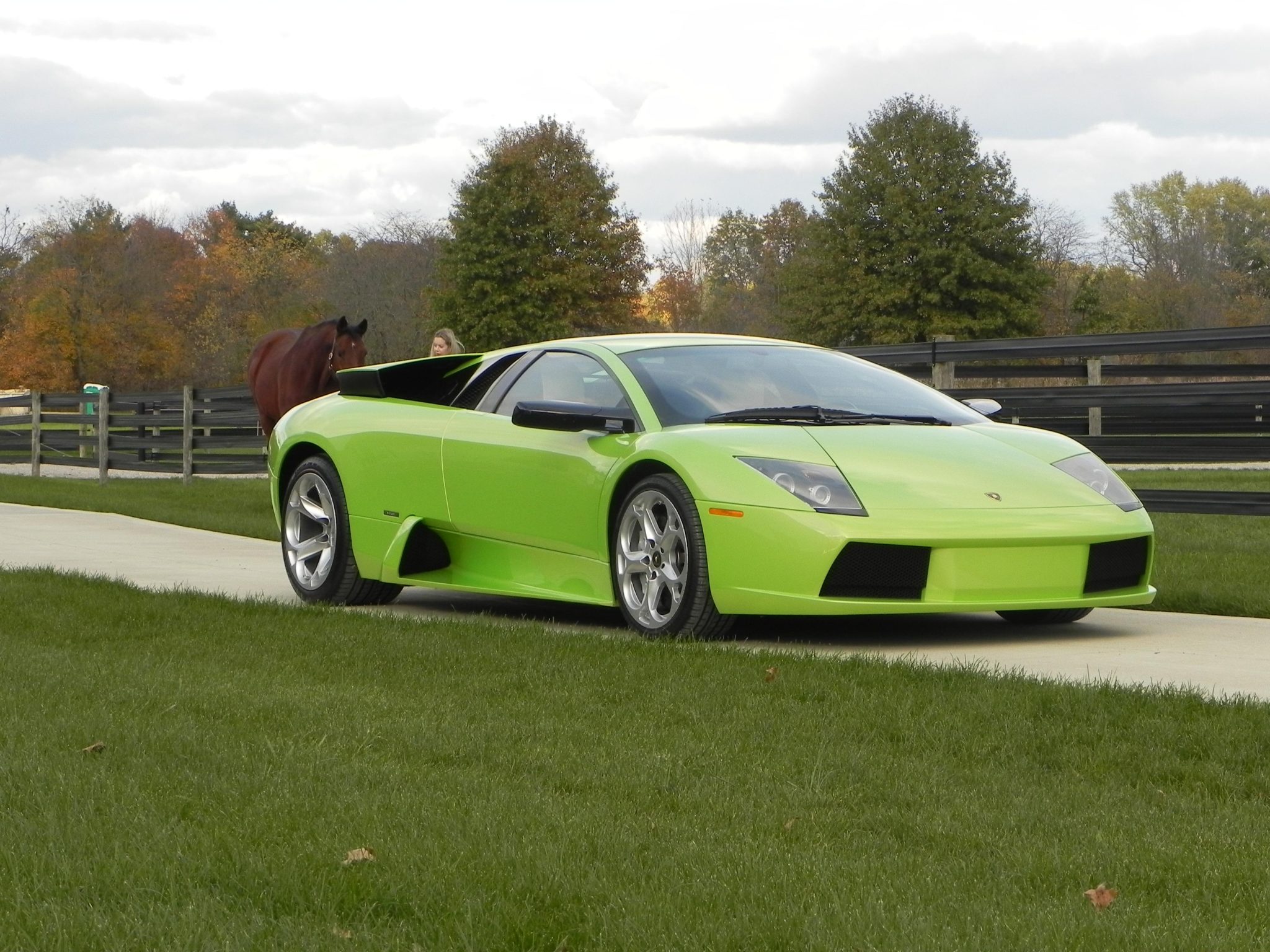 2006Murcielago
