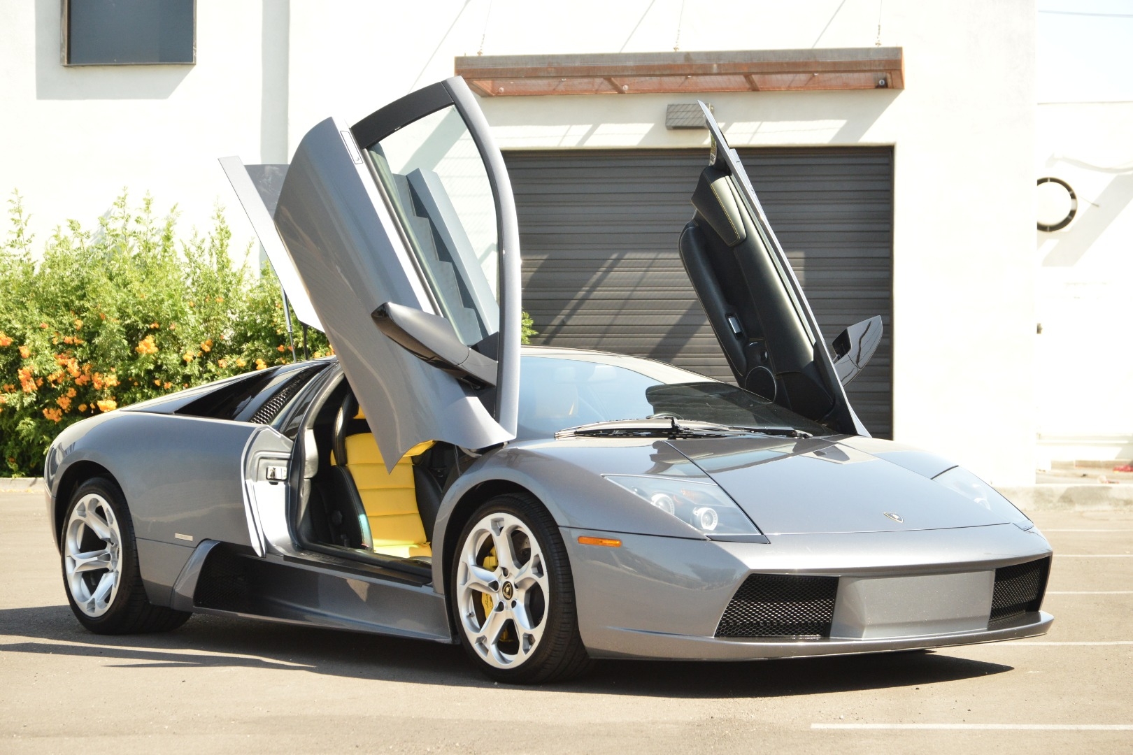 2005Murcielago