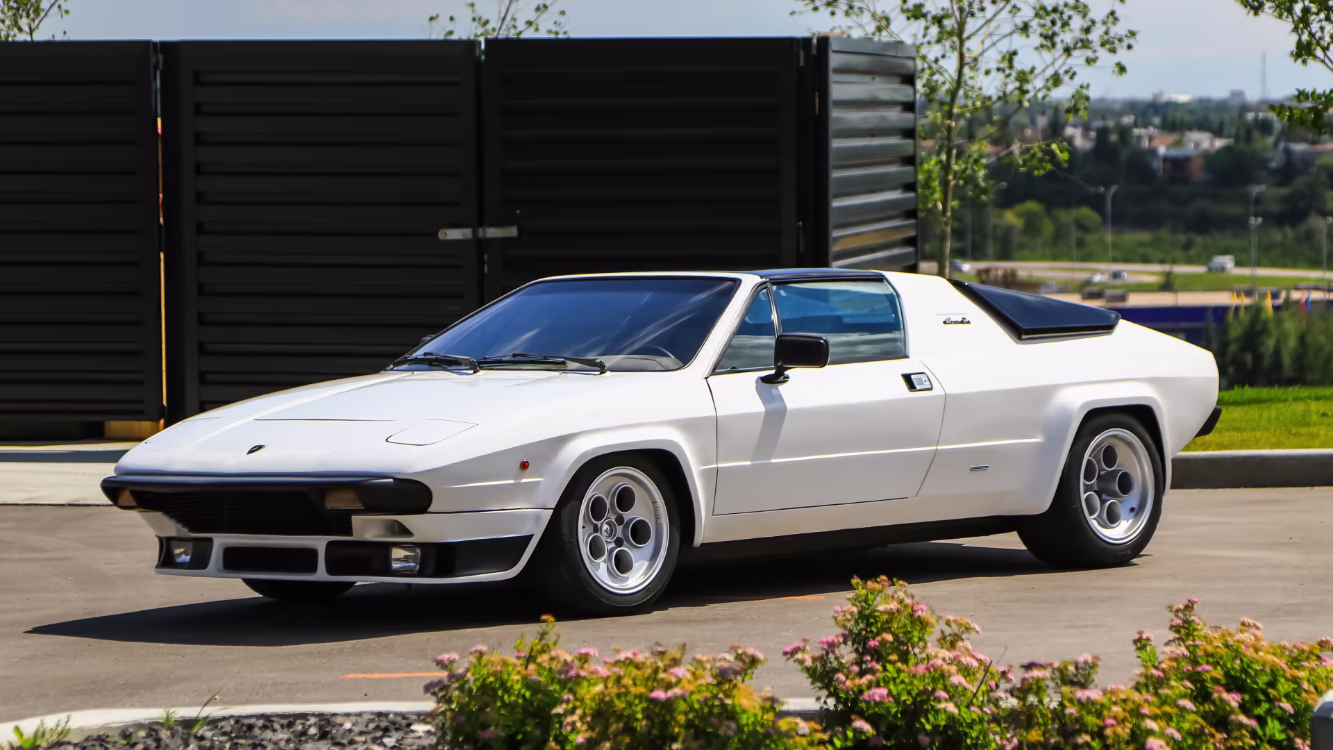 1976Silhouette