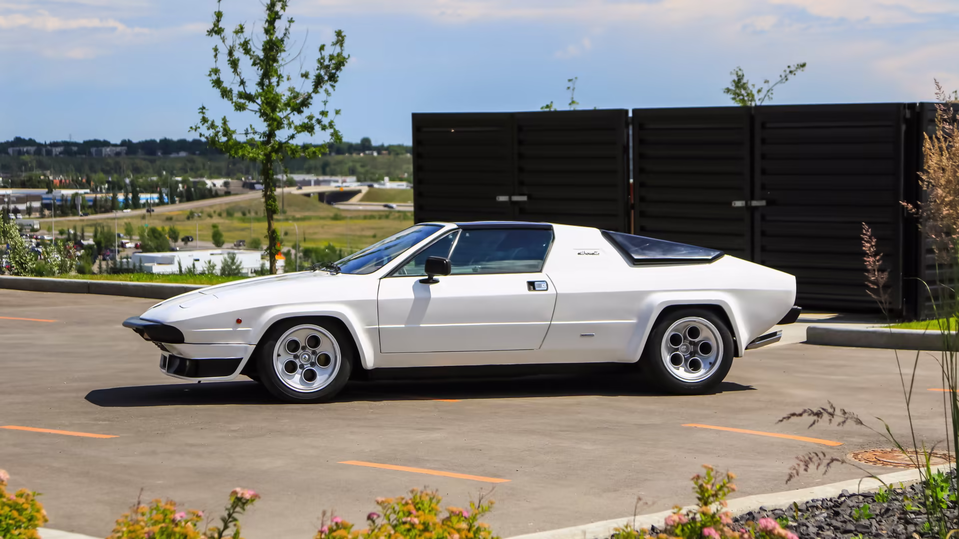 1976Silhouette