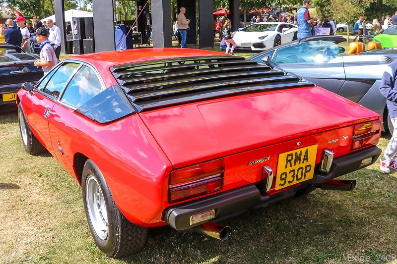 1976UrracoP300