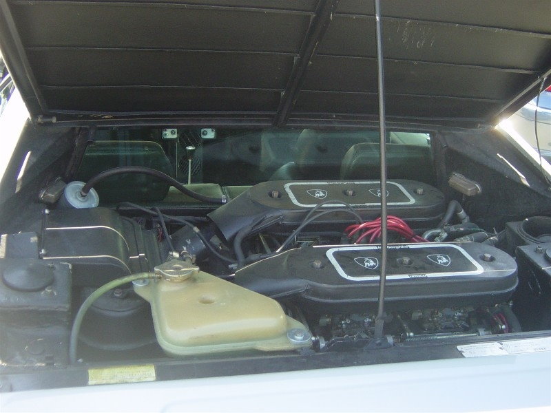 1976UrracoP300
