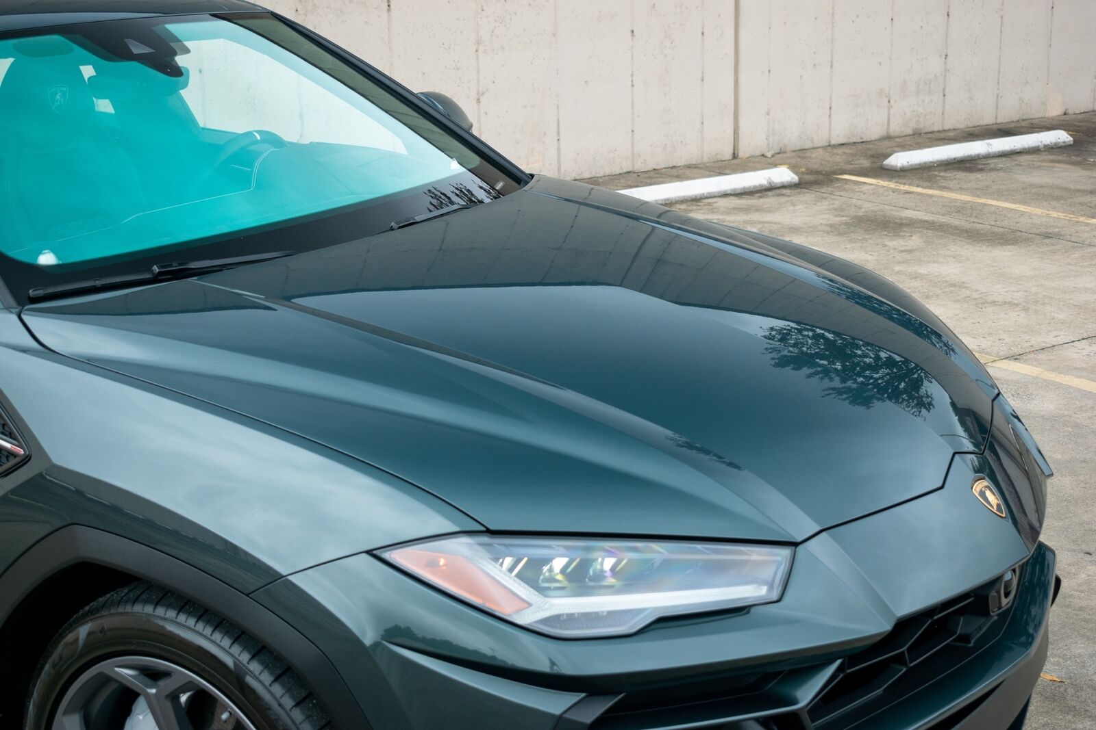 2019Urus