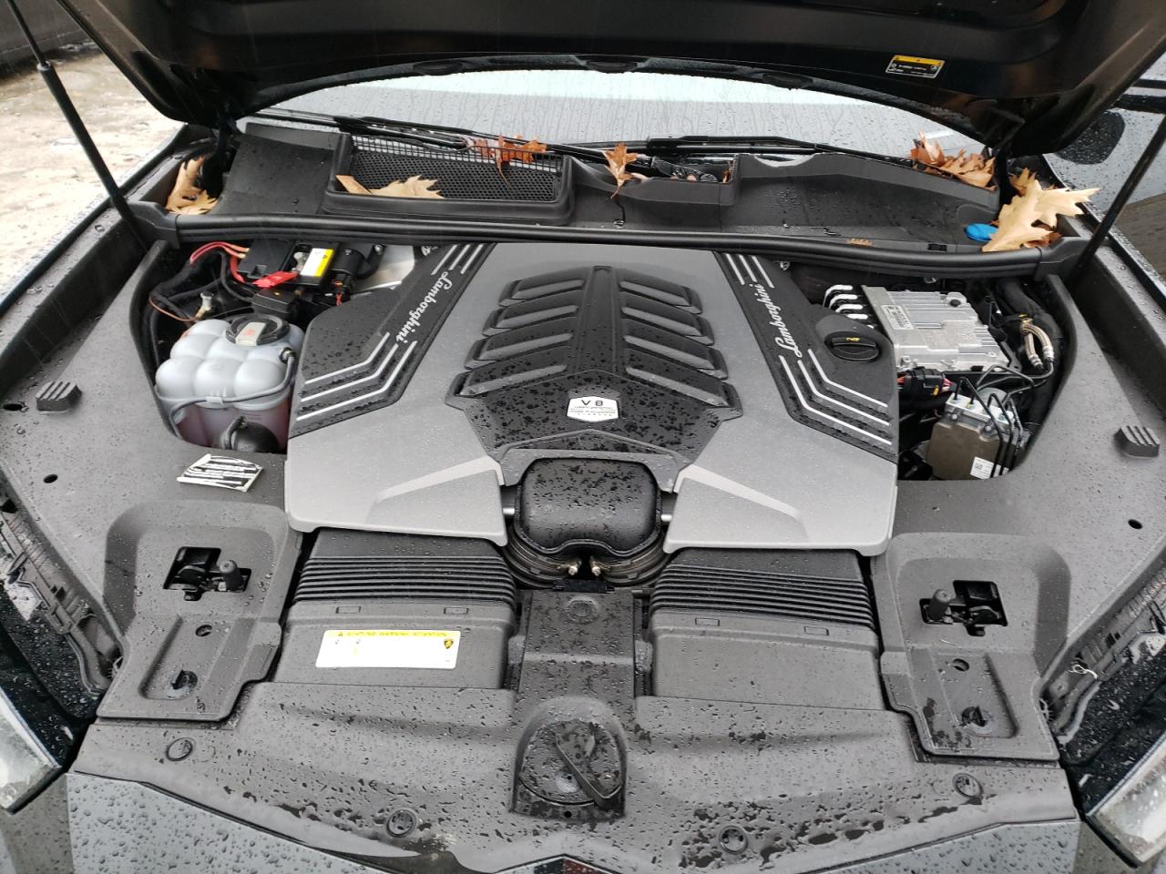 2019Urus